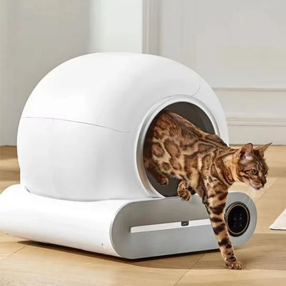 Litière automatique intelligente pour chat